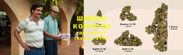 стаф Новозыбков