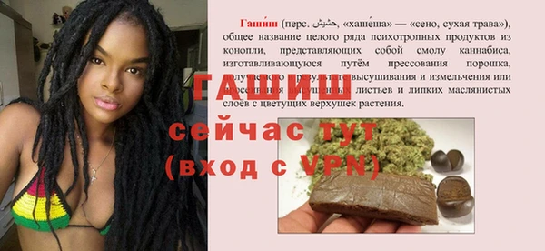 стаф Новозыбков
